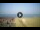 Webcam in Tirrenia, 18.7 km