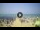 Webcam in Tirrenia, 48.4 km