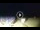 Webcam in Tirrenia, 9.5 km