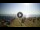 Webcam in Tirrenia, 11.8 mi away