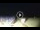 Webcam in Tirrenia, 9.5 km