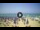 Webcam in Tirrenia, 13.1 km