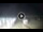 Webcam in Tirrenia, 10.7 mi away