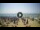 Webcam in Tirrenia, 5.1 km