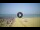 Webcam in Tirrenia, 14.6 km