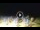 Webcam in Tirrenia, 5 mi away