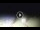 Webcam in Tirrenia, 13.1 km