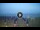 Webcam in Tirrenia, 11.2 km