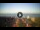 Webcam in Tirrenia, 11.2 km