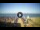 Webcam in Tirrenia, 11.2 km