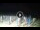 Webcam in Tirrenia, 5 mi away