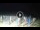 Webcam in Tirrenia, 13 km