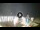 Webcam in Tirrenia, 1.9 mi away