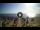 Webcam in Tirrenia, 13.2 km