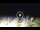 Webcam in Tirrenia, 28.1 km