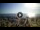 Webcam in Tirrenia, 30.6 km