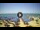 Webcam in Tirrenia, 36.2 km
