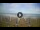 Webcam in Tirrenia, 5 mi away