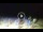 Webcam in Tirrenia, 18.7 km
