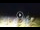 Webcam in Tirrenia, 9.5 km