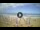 Webcam in Tirrenia, 13.1 km