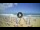 Webcam in Tirrenia, 13.1 km