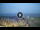Webcam in Tirrenia, 27.8 km entfernt