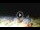 Webcam in Tirrenia, 14.6 km