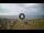 Webcam in Tirrenia, 11.8 mi away