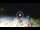Webcam in Tirrenia, 5 mi away