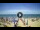 Webcam in Tirrenia, 40.7 km entfernt