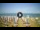 Webcam in Tirrenia, 41.1 km