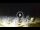 Webcam in Tirrenia, 5 mi away