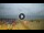 Webcam in Tirrenia, 18.6 mi away
