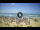 Webcam in Tirrenia, 3.7 mi away
