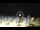 Webcam in Tirrenia, 47.8 km entfernt