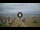 Webcam in Tirrenia, 5 mi away