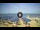 Webcam in Tirrenia, 5 mi away