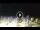 Webcam in Tirrenia, 14.6 km entfernt