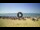 Webcam in Tirrenia, 5 mi away