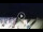 Webcam in Tirrenia, 27.8 km