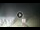 Webcam in Tirrenia, 5 mi away