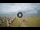 Webcam in Tirrenia, 30.5 km