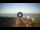 Webcam in Tirrenia, 18.6 mi away