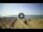 Webcam in Tirrenia, 28 km