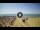 Webcam in Tirrenia, 36.2 km