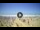 Webcam in Tirrenia, 1.9 mi away
