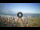 Webcam in Tirrenia, 27.8 km