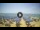 Webcam in Tirrenia, 40.7 km