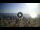 Webcam in Tirrenia, 15.7 km